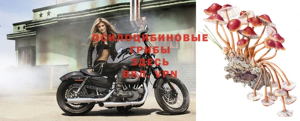 гидропоника Балабаново