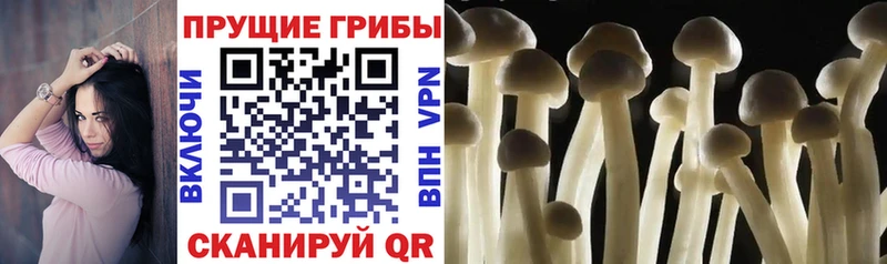 Псилоцибиновые грибы Cubensis  купить наркоту  MEGA рабочий сайт  Козельск 